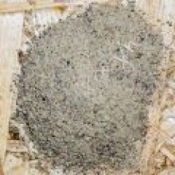 Piperi-lefko-trimmeno-vietnam_a3336d4d2782ae669eb4c043932f6d23
